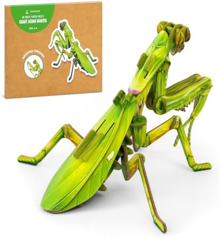 MAKEBUG STEM Projects Eco-Friendly Preschool Toys for Kids A...