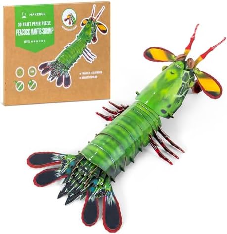 MAKEBUG Educational Toddler Toys Hands-On Learning Experienc...