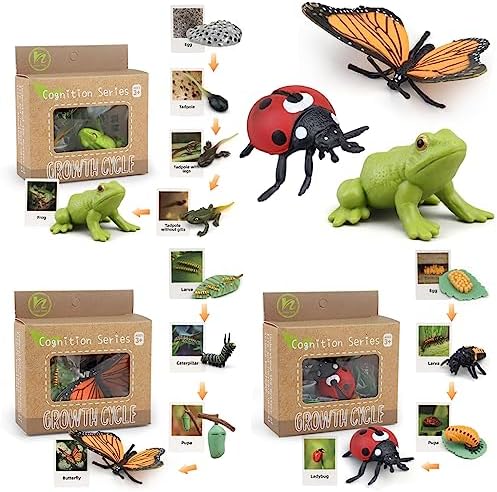 Montessori Life Cycle Learning & Education Toys - Plastic In...