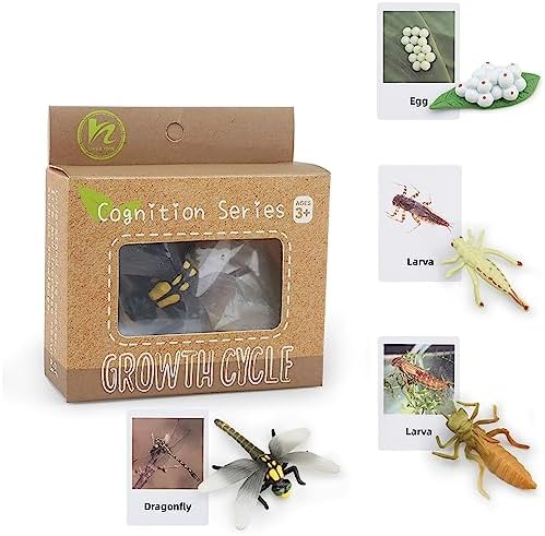 MIKNEKE Montessori Life Cycle Animal Figurines Learning & Ed...